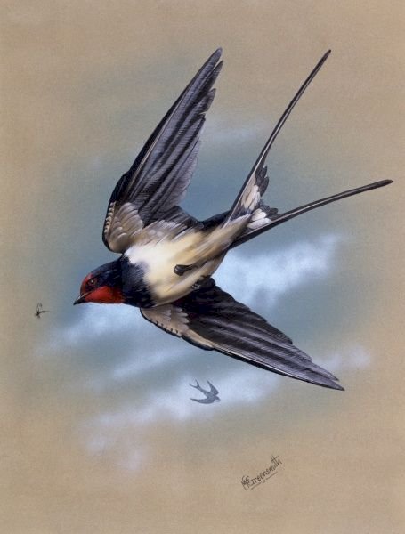 THE SWALLOW BARN jigsaw puzzle online