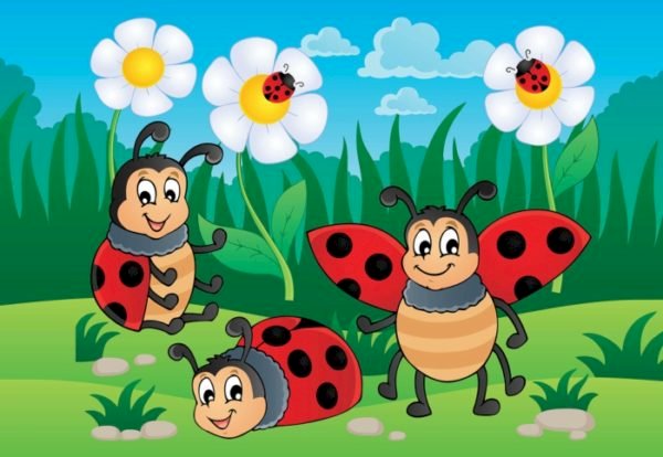 Puzzle-Ladybug online puzzle