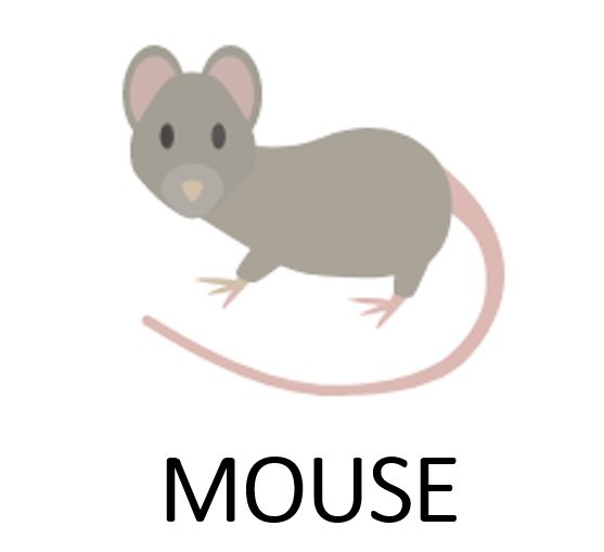 JIGSAW MOUSE online puzzle