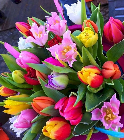 bouquet de tulipes puzzle en ligne
