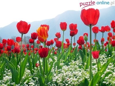 Blumen für Mama Puzzlespiel online