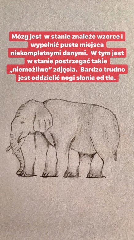Sloni, kolik má nohou? online puzzle