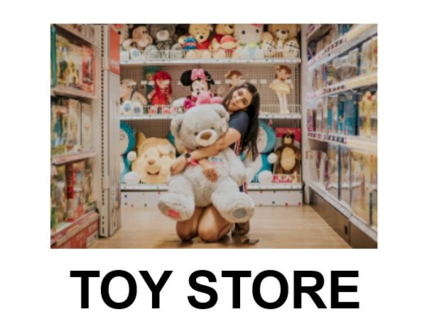 TOY STORE JIGSAW online puzzle