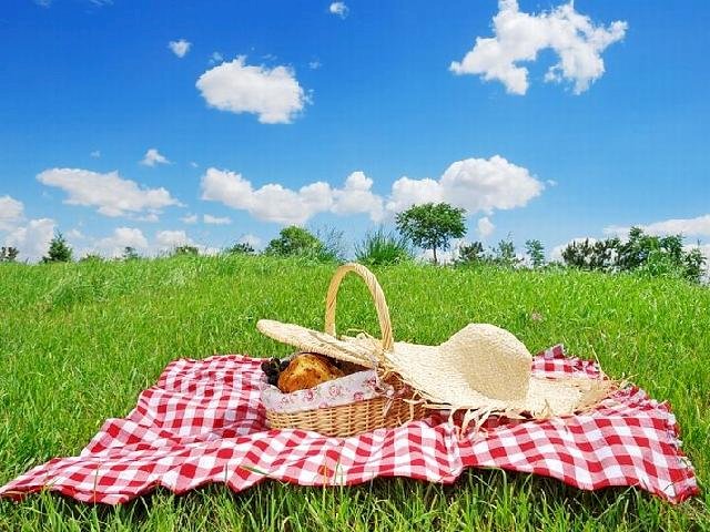 Es hora de picnic rompecabezas en línea