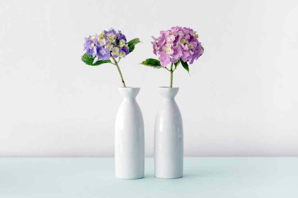Dvě vázy s hortenzií skládačky online