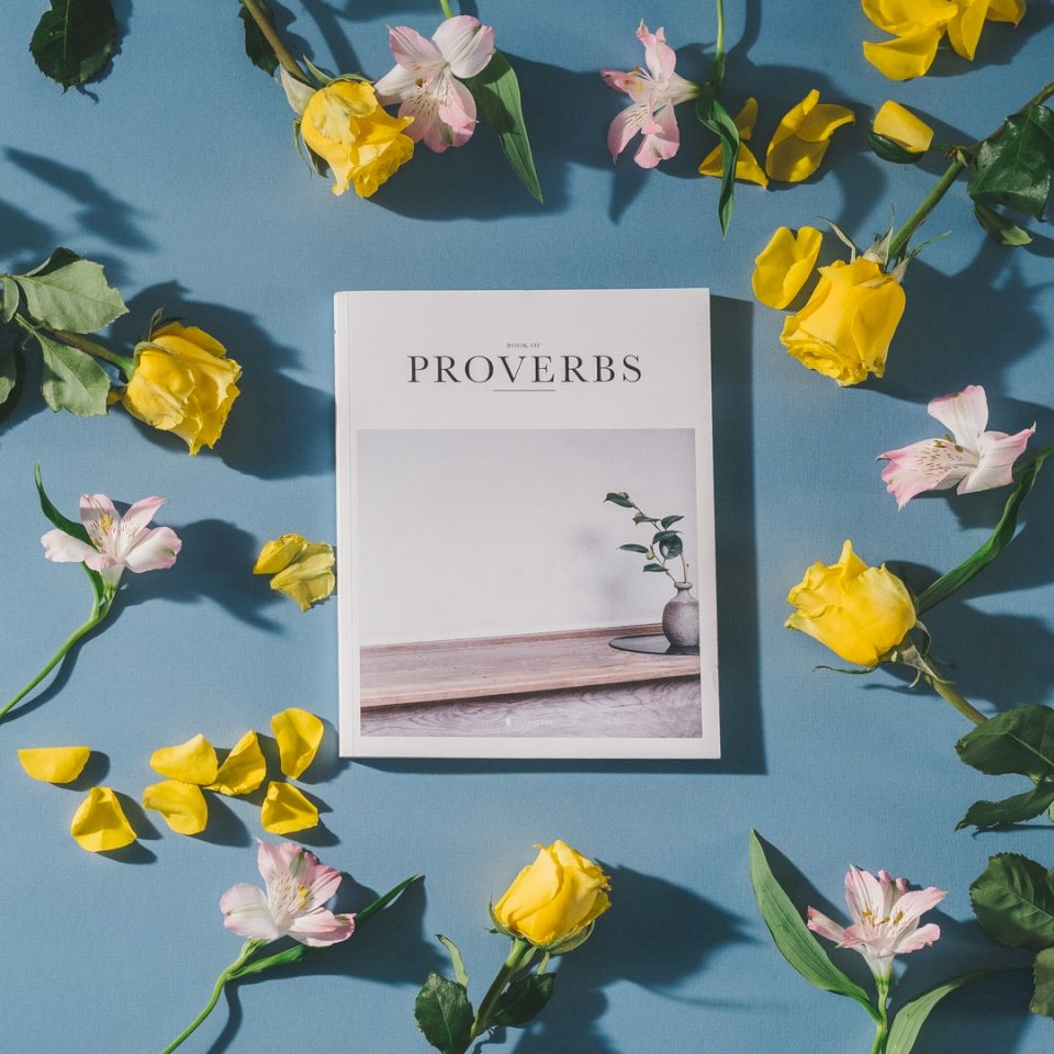Book of Proverbs, Bible with jigsaw puzzle online