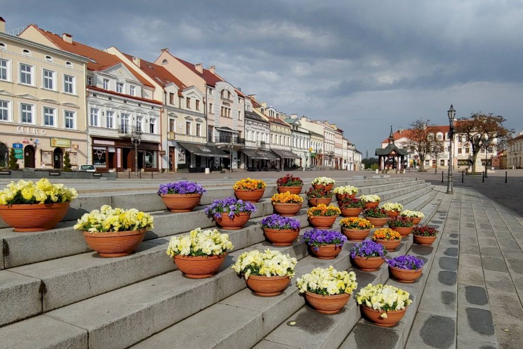 Sur la place du marché de Rzeszów puzzle en ligne