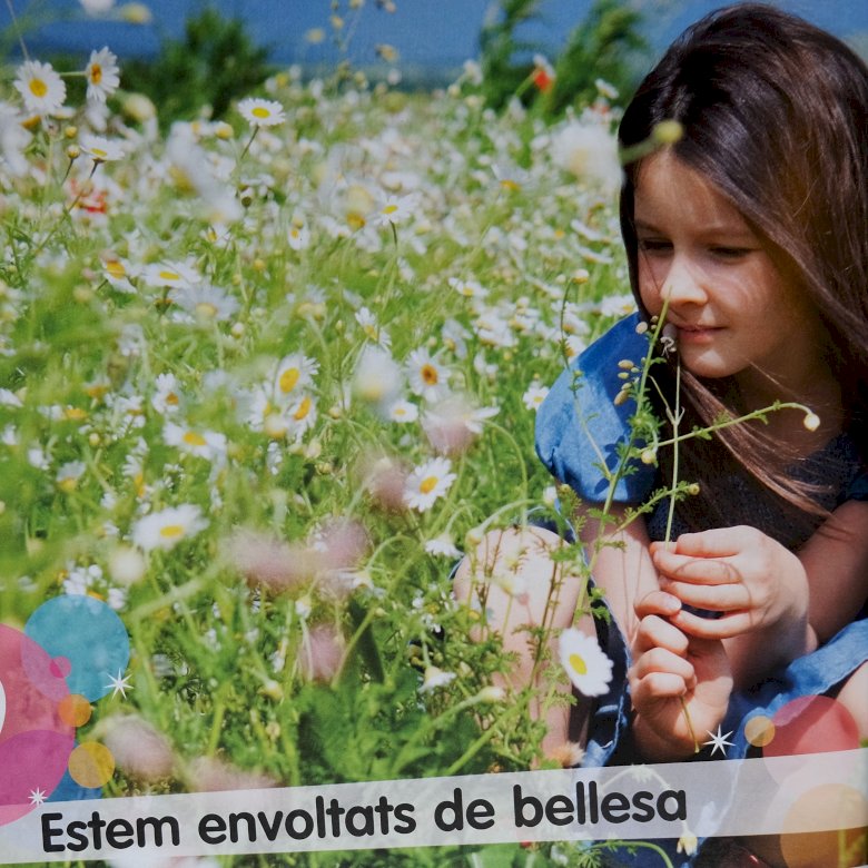 Estelesa Wrappers a Bellesa-tól kirakós online