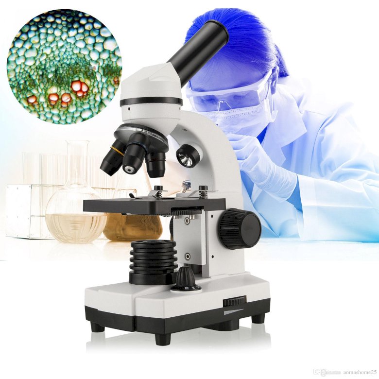 mikroskop skládačky online