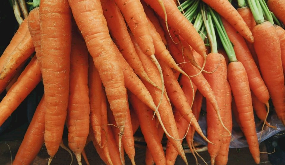 Βιολογικά καρότα παζλ online