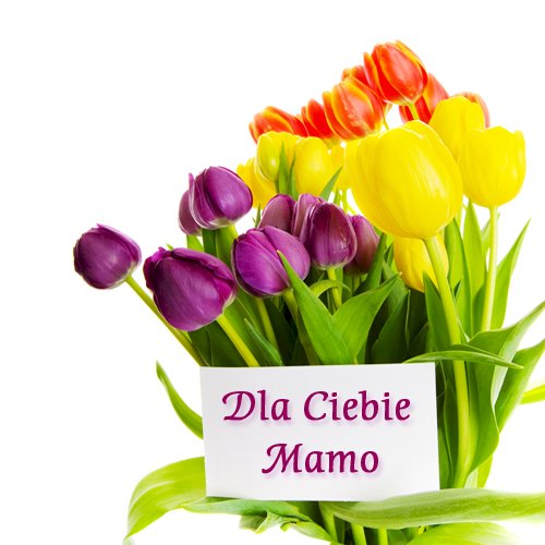 Bloemen voor mama! online puzzel