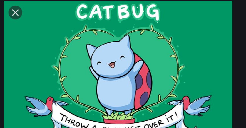 Catbug: Kasta en filt över det! pussel på nätet