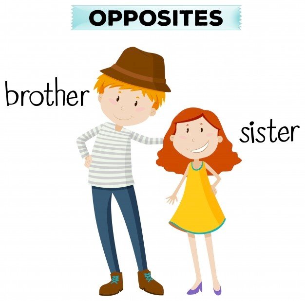 Bror och syster Pussel online