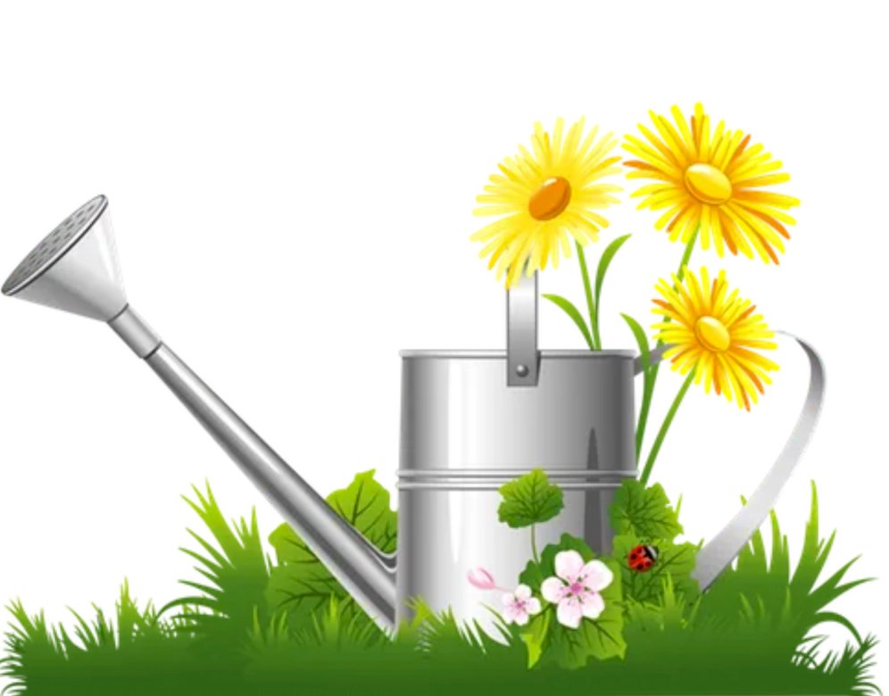 Watering can with flowers jigsaw puzzle online