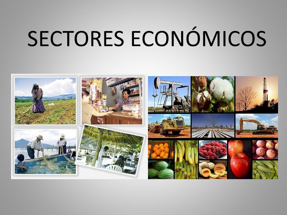 Economische sectoren legpuzzel online