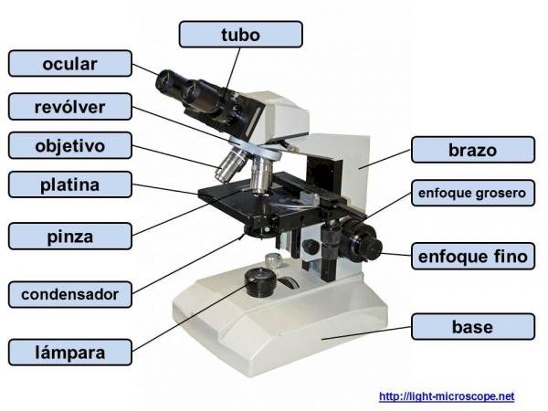 микроскоп онлайн пъзел