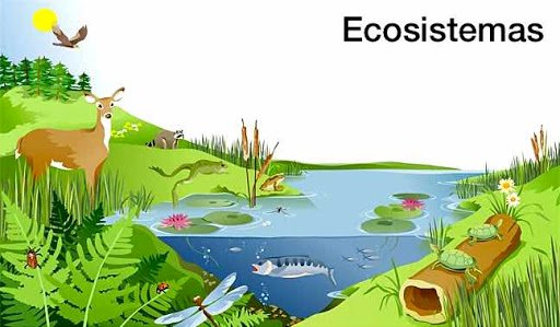 生態系 オンラインパズル