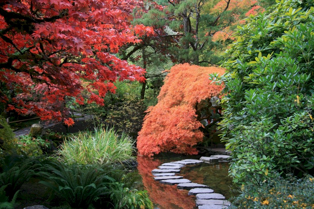 Japonská zahrada online puzzle