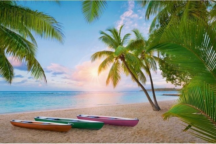 Paradijs onder palmbomen. online puzzel