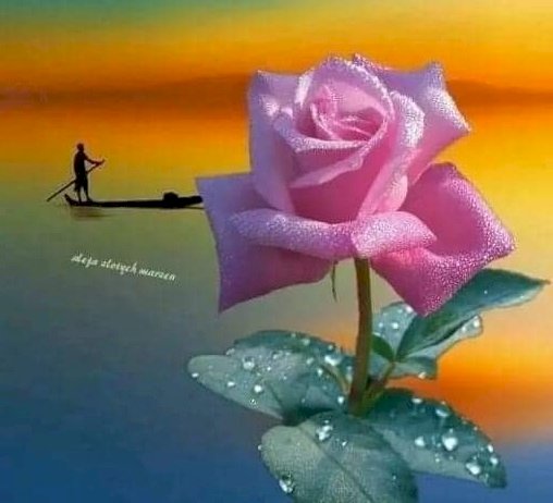 Peisaj cu un trandafir. puzzle online