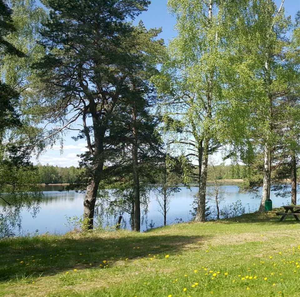 Uma clareira perto de um lago. quebra-cabeças online