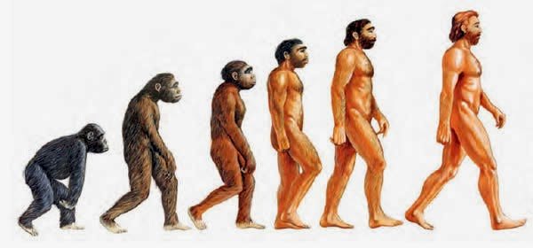 HUMAN EVOLUTION online puzzle