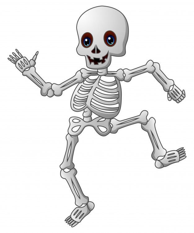 The skeleton online puzzle