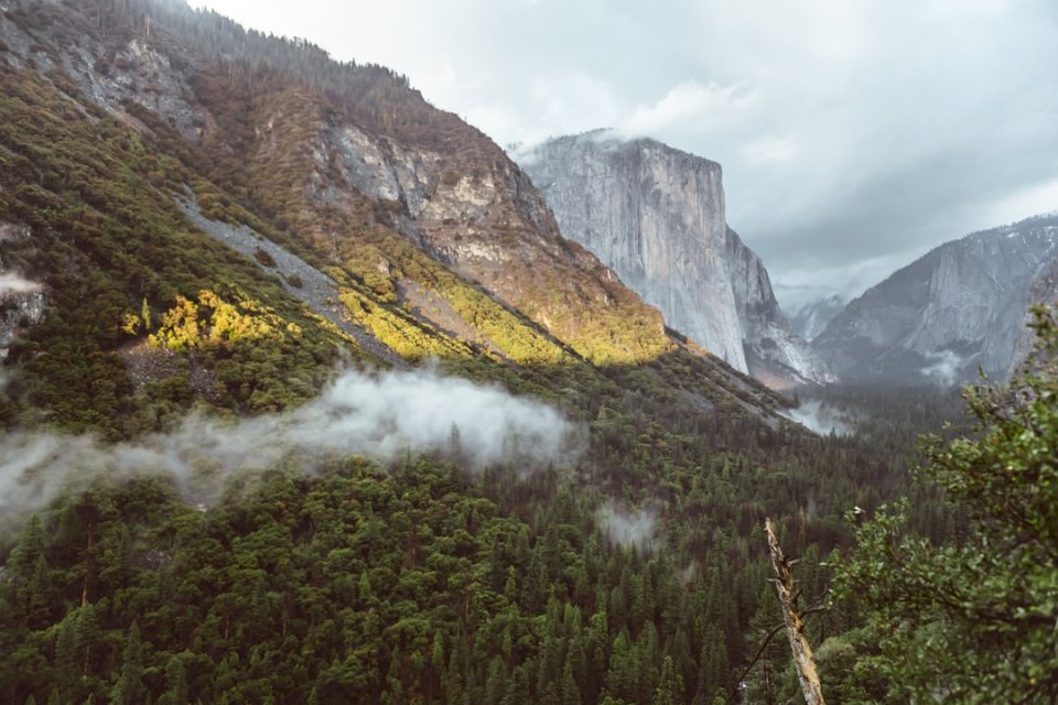 Pohled na tunel v údolí Yosemite online puzzle