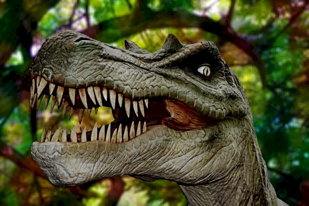 Dinosaurus skládačky online