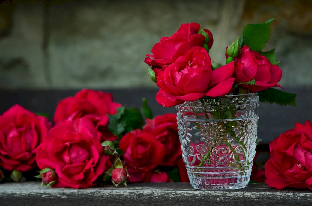 Червоні троянди онлайн пазл