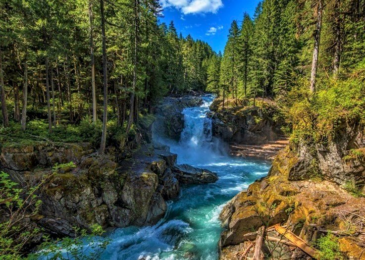 Řeka v horách, les online puzzle