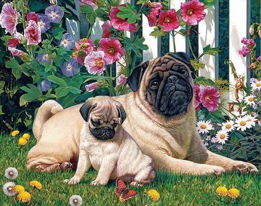 Pups in de tuin. legpuzzel online