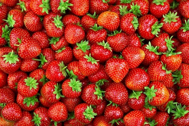 eine Menge Erdbeeren Online-Puzzle