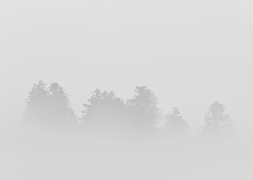 ліс у тумані онлайн пазл