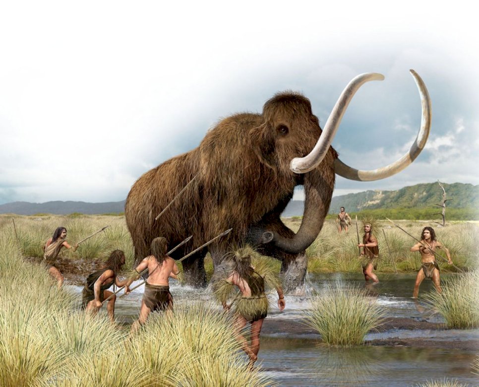MEET THE MAMMOTH online puzzle