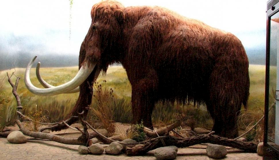 THE GREAT MAMMOTH jigsaw puzzle online