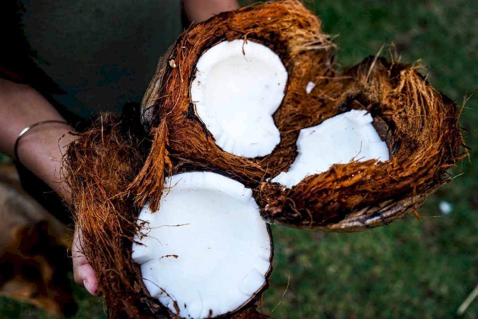 Обсебване на кокос онлайн пъзел