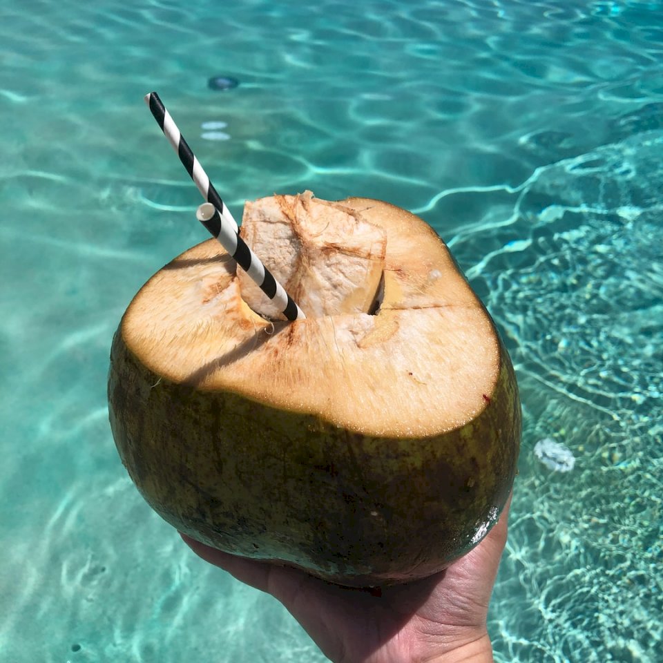 Refreshing coconut by the pool jigsaw puzzle online