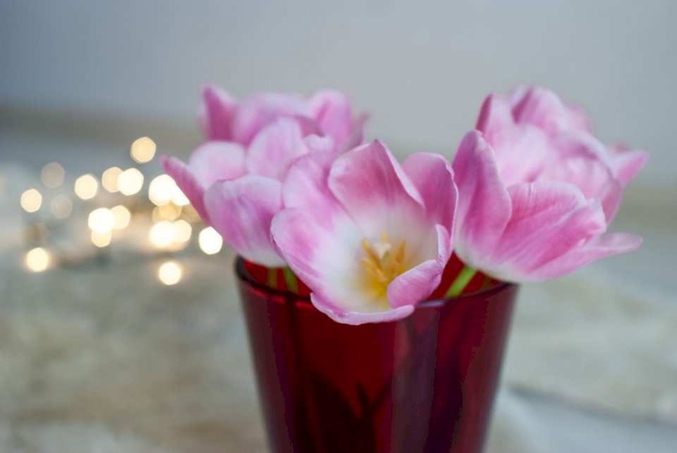 Bloemen tulpen lente lichten legpuzzel online