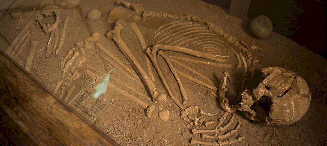 Brasiliansk arkeologi pussel på nätet