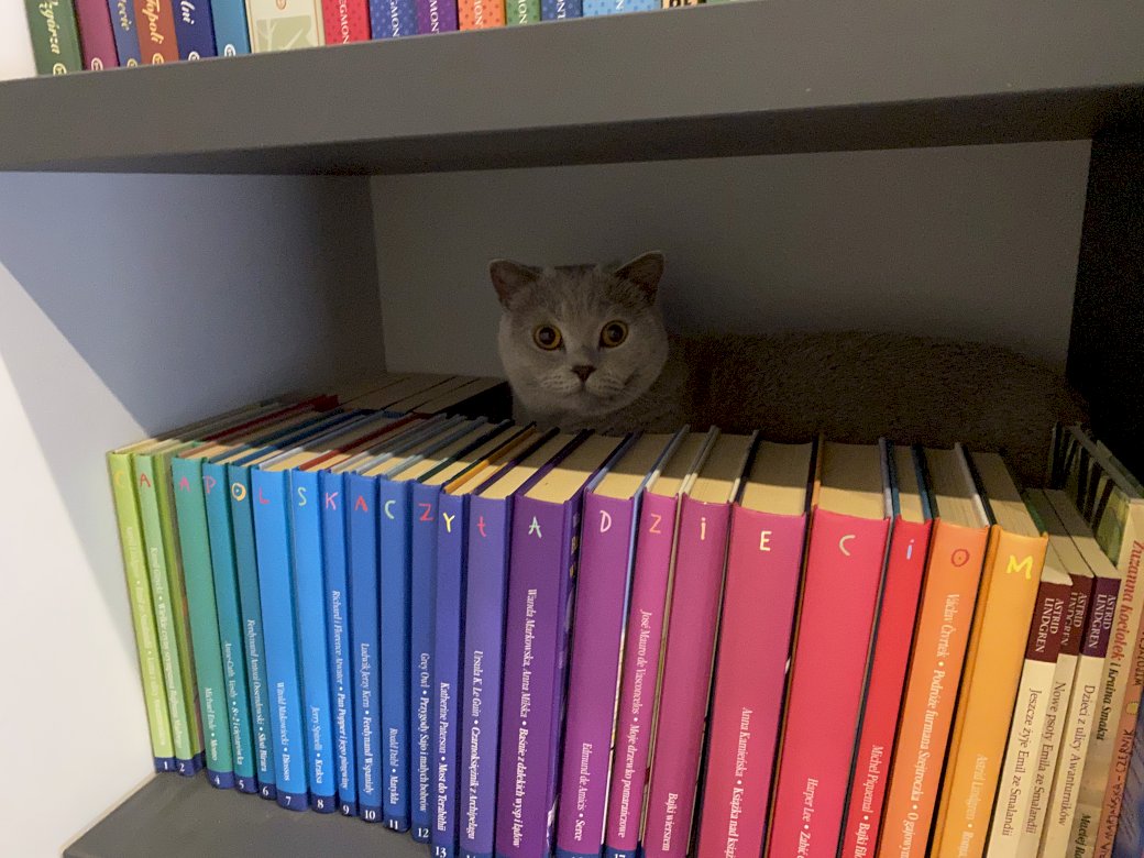 Kitty achter de boeken legpuzzel online