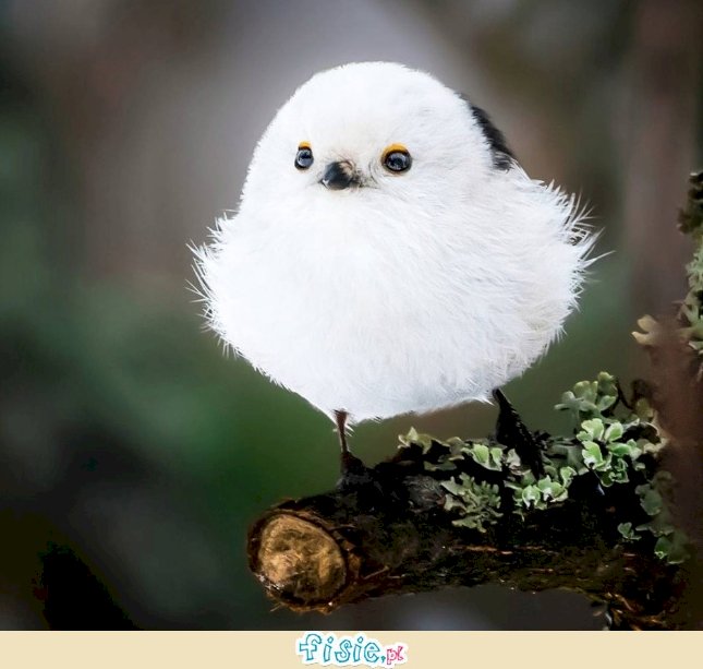 Сладка птица и моментът му на напрежение онлайн пъзел