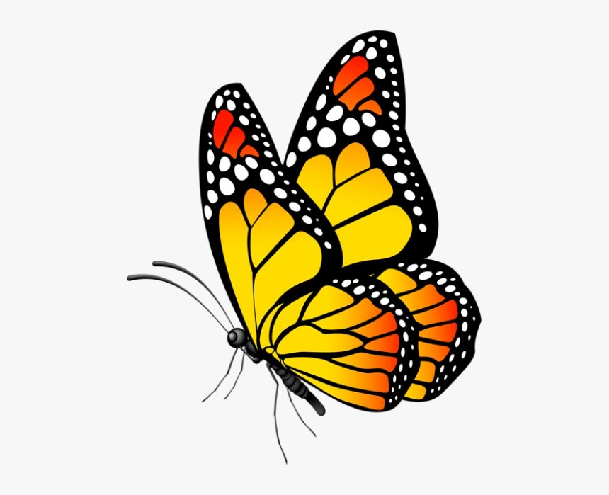 Fifi пеперуда онлайн пъзел