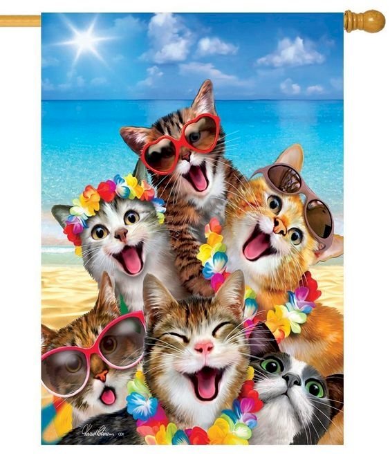 Șase pisici amuzante2 jigsaw puzzle online
