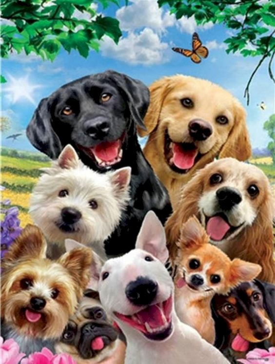 Nine funny dogs online puzzle