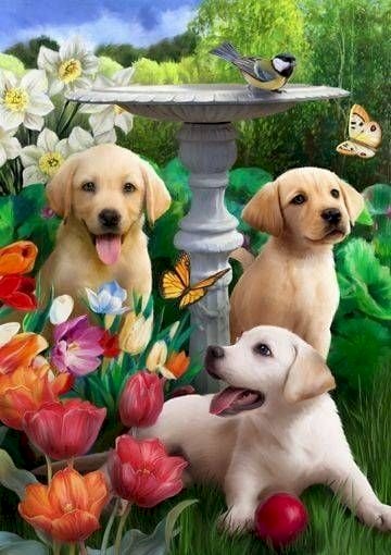 3 όμορφα labradors παζλ online