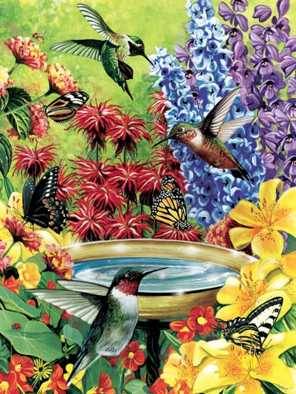 Colibrì - colibrì puzzle online