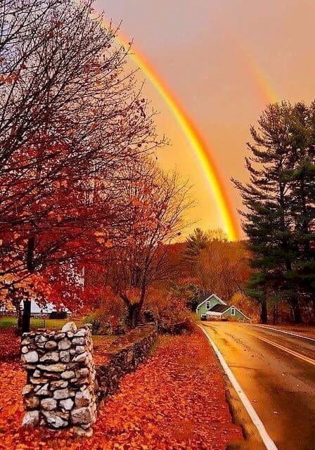 Regenboog herfst online puzzel