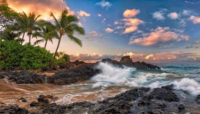 Oceaan golven, palmbomen legpuzzel online