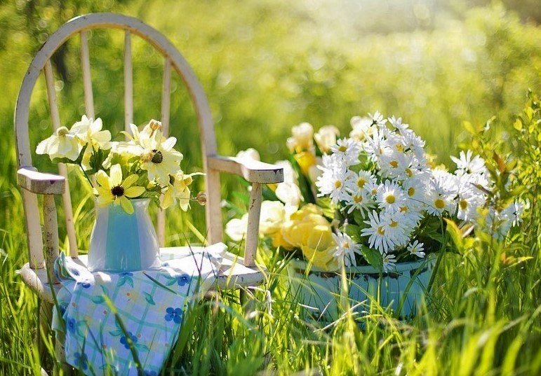 Букети квітів в контейнерах, стілець пазл онлайн